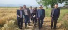 تحول در تولید هسته‌های بذری کشور/ بازدید رئیس مؤسسه تحقیقات دیم کشور از ایستگاه ملی تحقیقات کشاورزی گنبدکاووس