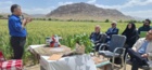آموزش مدیریت داشت گندم در قالب کاروان ترویجی در شهرستان خرم‌آباد