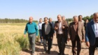 بازدید رئیس سازمان مدیریت و برنامه‌ریزی استان کرمان از ایستگاه تحقیقاتی شهید زنده‌روح