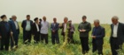 برگزاری دوره آموزش عملی کارشناسان و بهره‌برداران شهرستان خرم‌آباد