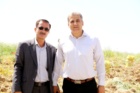 برداشت موفق کشت آبی موسیر در روستای چنارحمام خرم‌آباد
