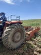برداشت موفق کشت آبی موسیر در روستای چنارحمام خرم‌آباد
