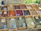 آذربایجان غربی, گنجینه های گیاهی در آستانه انقراض
