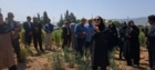«روز مزرعه و انتقال یافته‌های تحقیقاتی» در لرستان؛ پیوند علم و مزرعه برای افزایش بهره‌وری کشاورزی