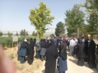 «روز مزرعه و انتقال یافته‌های تحقیقاتی» در لرستان؛ پیوند علم و مزرعه برای افزایش بهره‌وری کشاورزی