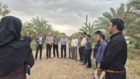 کشت 50 اصله کنار پیوندی در ستاد پژوهشکده خرما و میوه‌های گرمسیری با مشارکت مدیریت باغبانی سازمان جهادکشاورزی