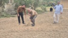 کشت 50 اصله کنار پیوندی در ستاد پژوهشکده خرما و میوه‌های گرمسیری با مشارکت مدیریت باغبانی سازمان جهادکشاورزی
