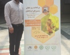 حضور محقق مرکز در همایش ملی روز جهانی زنبورهای گرده‌افشان
