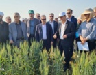 بازدید از ایستگاه تحقیقات کشاورزی مغان، در جریان بیست‌ویکمین سفر استانی معاون وزیر جهاد کشاورزی و رئیس سازمان تات