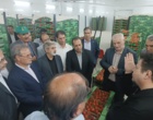 بازدید معاون وزیر از گلخانه هوشمند هیدروپونیک در پارس‌آباد مغان
