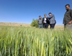 الگوسازی مرکز تحقیقات اصفهان در جهت توسعه کشاورزی دانش بنیان