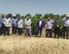 برگزاری رویداد آموزشی - ترویجی روز مزرعه با حضور محققین در شهرستان خرم‌آباد
