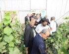 بازدید معاونان وزیر جهاد کشاورزی از مزارع تولید بذر مرکز آموزش عالی امام خمینی(ره)