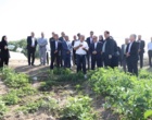 بازدید معاونان وزیر جهاد کشاورزی از مزارع تولید بذر مرکز آموزش عالی امام خمینی(ره)