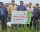 بهبود ۱۵ درصدی تولید بره در گله‌های روستایی و عشایری سبلان