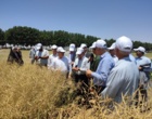 کلنگ‌زنی آبیاری زیرسطحی تا بازدید از مزارع راهبردی؛ در کشت و صنعت جوین