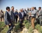 بازدید معاون وزیر جهاد کشاورزی دکتر غلامرضا گل محمدی و مشاور امور موسسات، مراکز ملی و استانی دکتر کاظم محمد پور از ایستگاه تحقیقات دیم شیروان