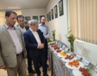 دستاورد راهبردی تات برای تقویت امنیت غذایی به بخش تولید منتقل شد