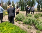 پژوهشگران اردبیلی بر توسعه گیاهان دارویی و زراعت چوب با رویکرد بهره‌برداری پایدار تأکید کردند