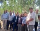 برگزاری دوره آموزشی مبارزه با عوامل خسارت‌زای پسته در گرمسار