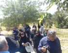 گامی استوار به سوی کشاورزی دانش‌بنیان؛ بازدید تخصصی از "باغ گیاه‌شناسی زاگرس"