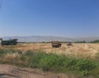 آغاز برداشت گندم از مزارع ایستگاه تحقیقات چندمنظوره سراب چنگایی خرم‌آباد