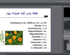 برگزاری دوره آموزشی «ترکیبات شیمیایی، خواص درمانی، اشکال مصرف و کاربرد گیاه همیشه بهار» با تأکید بر ظرفیت‌های دارویی و فرآوری این گیاه ارزشمند