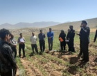 ضرورت جایگزینی کشت بهاره با پاییزه و مکانیزاسیون در نخود دیم؛ برگزاری کارگاه ترویجی انتقال یافته‌ها در الیگودرز