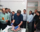 برگزاری دوره تخصصی بیماری‌های تولیدمثلی و تلقیح مصنوعی در نشخوارکنندگان در مرکز سمنان