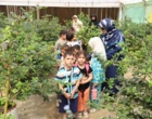 کودکان در مسیر یادگیری تجربه‌محور؛ بازدید شاد و آموزشی از قلب تولید و کشاورزی