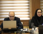 تدوین چارچوب بومی توسعه فناوری نانو کشاورزی؛ از اولویت‌گذاری تا تضمین ایمنی محصولات