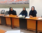 برنامه‌ریزی برای ایجاد ۶۰ مزارع الگویی در استان لرستان