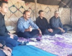 ترویج دانش فنی و بهداشت دام؛ گامی برای توانمندسازی جامعه عشایری
