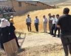 برگزاری «روز مزرعه» با محوریت تنظیم دقیق کمباین و ترویج کشاورزی حفاظتی
