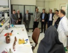 توسعه همکاری‌های پژوهشی و آزمایشگاهی پژوهشگاه بیوتکنولوژی کشاورزی و پژوهشگاه استاندارد در حوزه امنیت غذایی
