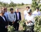 بازدید میدانی دکتر غلامرضا گل‌محمدی، معاون وزیر جهاد کشاورزی و رئیس سازمان تحقیقات، آموزش و ترویج کشاورزی (تات)، از ایستگاه تحقیقات باغبانی کمال‌شهر