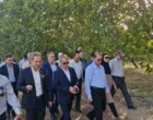 بازدید میدانی دکتر غلامرضا گل‌محمدی، معاون وزیر جهاد کشاورزی و رئیس سازمان تحقیقات، آموزش و ترویج کشاورزی (تات)، از ایستگاه تحقیقات باغبانی کمال‌شهر