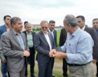 بازدید معاون وزیر و رئیس سازمان تات از مزارع تحقیقاتی معاونت مؤسسه تحقیقات برنج کشور