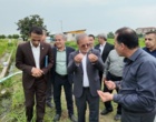 بازدید معاون وزیر و رئیس سازمان تات از مزارع تحقیقاتی معاونت مؤسسه تحقیقات برنج کشور