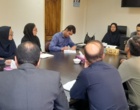 نشست تخصصی بررسی مسائل اولویت‌دار بخش کشاورزی شهرستان مهدیشهر با محوریت انتقال یافته‌های تحقیقاتی به عرصه تولید برگزار شد.