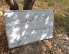 بسیج دانش‌محور در خرم‌آباد؛ از راهکارهای مقابله با «کرم برگخوار پاییزه ذرت» تا مدیریت «کنه تارتن» در باغات
