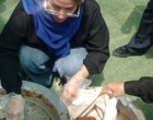 برگزاری دوره مهارتی توانمندسازی زنان روستایی با محوریت تهیه شیره بهداشتی خرما