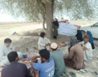 دوره آموزشی مدیریت مزرعه سورگوم در بخش پیر سهراب شهرستان چابهار
