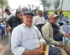 محصول جایگزین ارزن مرواریدی گامی در جهت سازگاری با تغییرات اقلیمی