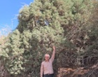 بررسی اثرات اقتصادی و اجتماعی استفاده از کنستانتره‌ی دانش‌بنیان بر تولیدات دامی عشایر خراسان رضوی