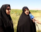 برگزاری رویداد ترویجی «روز مزرعه» آفتابگردان در شهرستان دورود؛ توسعه ۱۶۰ هکتاری کشت دانه‌های روغنی در استان لرستان