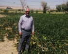 هشدار معاون مرکز تحقیقات کشاورزی لرستان درباره تبعات خاموشی‌های مکرر بر مزارع الگویی و تحقیقاتی الیگودرز / ضرورت تفکیک زیرساخت‌های پژوهشی کشاورزی از جدول قطعی برق