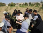 پیوند دانش و مهارت در نهالستان؛برگزاری دومین روز نخستین دوره مهارت‌آموزی با رویکرد تربیت مربی