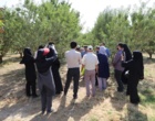 پیوند دانش و مهارت در نهالستان؛برگزاری دومین روز نخستین دوره مهارت‌آموزی با رویکرد تربیت مربی