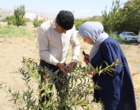 پیوند دانش و مهارت در نهالستان؛برگزاری دومین روز نخستین دوره مهارت‌آموزی با رویکرد تربیت مربی